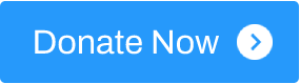 Donate with PayPal button